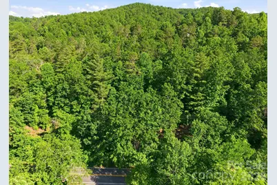 9999 Old Fort Road, Black Mountain, NC 28711 - Photo 2