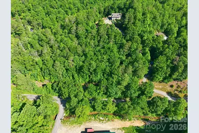 9999 Old Fort Road, Black Mountain, NC 28711 - Photo 12