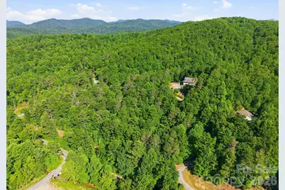 9999 Old Fort Road, Black Mountain, NC 28711 - Photo 4
