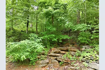 9999 Blue Ridge Drive S, Marion, NC 28765 - Photo 8