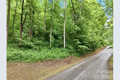 9999 Blue Ridge Drive S, Marion, NC 28765 - Photo 4