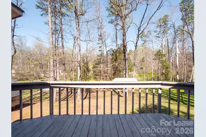 3917 Singletree Road, Mint Hill, NC 28227 - Photo 32