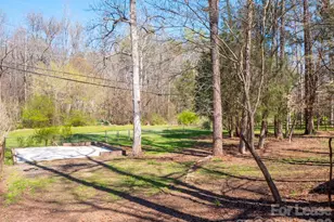 3917 Singletree Rd, Mint Hill, NC 28227 - Photo 38