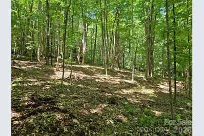 0 Serenity Mountain Road #108, Waynesville, NC 28786 - Photo 18