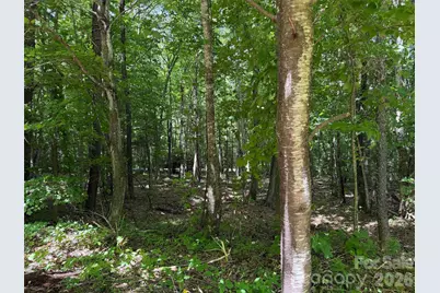0 Serenity Mountain Road #108, Waynesville, NC 28786 - Photo 8