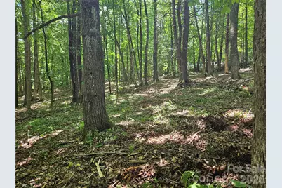 0 Serenity Mountain Road #108, Waynesville, NC 28786 - Photo 24