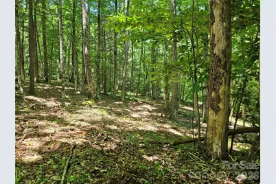 0 Serenity Mountain Road #108, Waynesville, NC 28786 - Photo 20