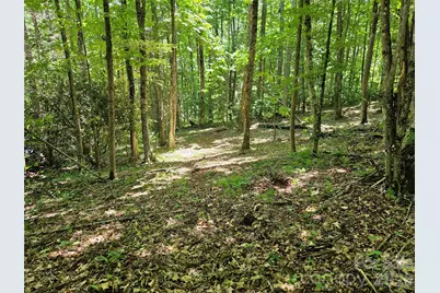 0 Serenity Mountain Road #108, Waynesville, NC 28786 - Photo 22