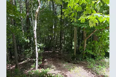 0 Serenity Mountain Road #108, Waynesville, NC 28786 - Photo 10