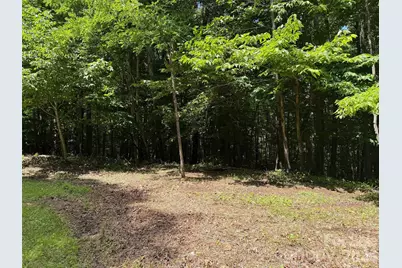 0 Serenity Mountain Road #108, Waynesville, NC 28786 - Photo 6