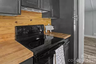 1011 Reed St, Asheville, NC 28804 - Photo 16