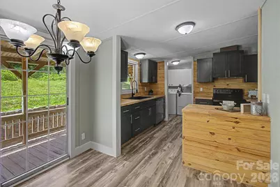1011 Reed Street, Woodfin, NC 28804 - Photo 12