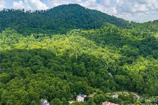 30 Apple Tree Way, Asheville, NC 28805 - Photo 46