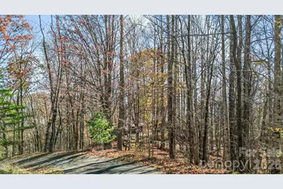 10 Peacock Lane #19, Burnsville, NC 28714 - Photo 12