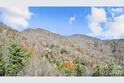 10 Peacock Lane #19, Burnsville, NC 28714 - Photo 28