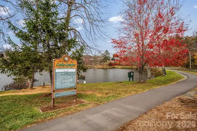 10 Benedict Lane, Weaverville, NC 28787 - Photo 28