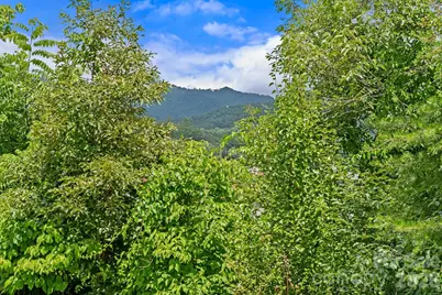10 Benedict Lane, Weaverville, NC 28787 - Photo 14