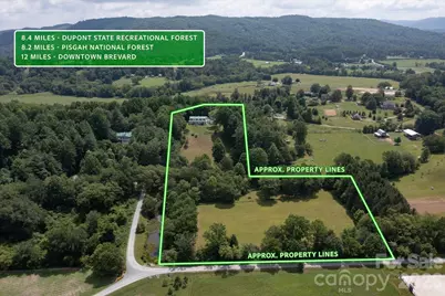 293 Sun Meadow Lane, Pisgah Forest, NC 28768 - Photo 46