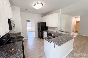11528 Erwin Ridge Ave, Charlotte, NC 28213 - Photo 10