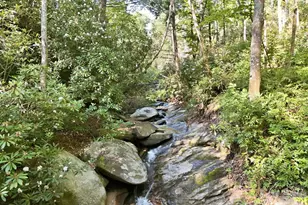 17 Sunny Morning Ct, Hendersonville, NC 28792 - Photo 24