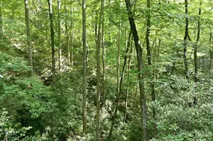 17 Sunny Morning Ct, Hendersonville, NC 28792 - Photo 32