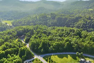 17 Sunny Morning Ct, Hendersonville, NC 28792 - Photo 12