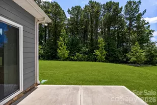 5015 Whispy Vines Ln, Huntersville, NC 28078 - Photo 32