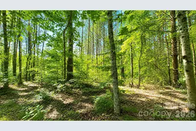 Cb17 Emerald Court #CB17, Lenoir, NC 28634 - Photo 6