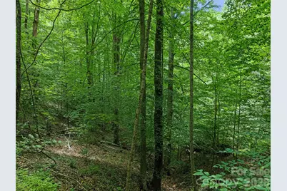 000 Hamlet Drive #1, Burnsville, NC 28714 - Photo 8