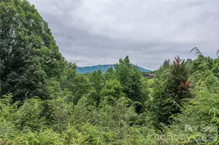 94 Oakcrest Ln, Waynesville, NC 28786 - Photo 32