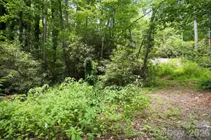 305 Melanie Ln, Black Mountain, NC 28711 - Photo 22
