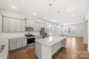 9524 Ainslie Downs St, Charlotte, NC 28273 - Photo 6