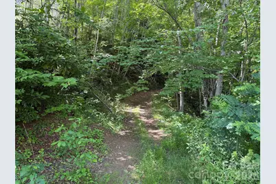 00 Rising Sun Road #338, Waynesville, NC 28786 - Photo 2