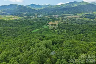 1250 Cobblestone Dr, Waynesville, NC 28786 - Photo 40