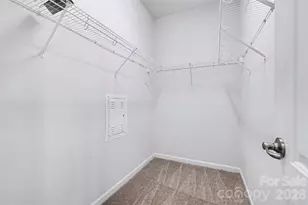 11245 Cedar Walk Lane, Charlotte, NC 28277 - Photo 28