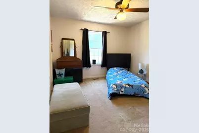 4084 Carpenters Cove Road, Claremont, NC 28610 - Photo 4