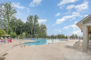 315 Bulrush Rd, Clover, SC 29710 - Photo 36