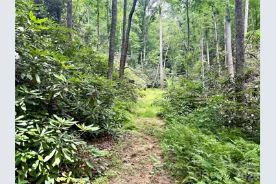 106 Flora Lina Drive, Brevard, NC 28712 - Photo 10