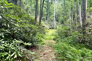 106 Flora-Lina Dr, Brevard, NC 28712 - Photo 10