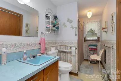 106 Flora Lina Drive, Brevard, NC 28712 - Photo 28