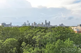 1515 Ranlo Ave, Charlotte, NC 28204 - Photo 32