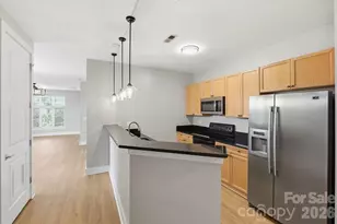 1101 W 1st St, Charlotte, NC 28202 - Photo 10