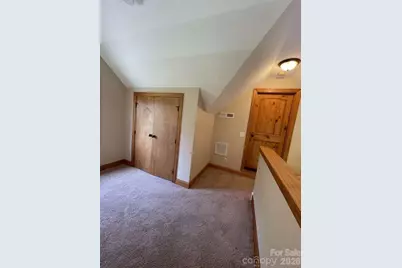 260 Bull Creek Road, Asheville, NC 28805 - Photo 24