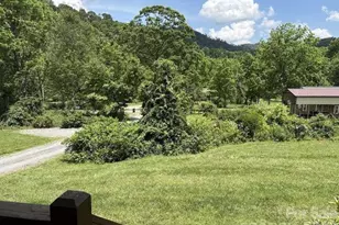 260 Bull Crk Rd, Asheville, NC 28805 - Photo 4