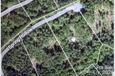 14 Spring Hollow Road, Lake Lure, NC 28746 - Photo 6