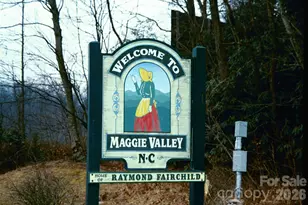 52 Steep Ln, Maggie Valley, NC 28751 - Photo 32