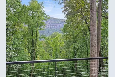 384 Cascada Vista Drive, Chimney Rock Village, NC 28720 - Photo 6