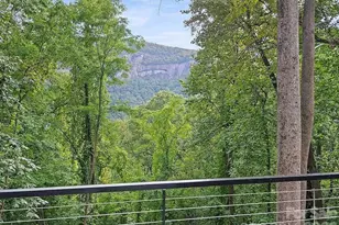 384 Cascada Vista Dr, Chimney Rock Village, NC 28720 - Photo 6
