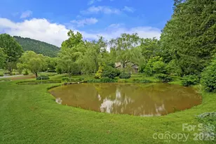 52 Clubside Dr, Asheville, NC 28804 - Photo 32