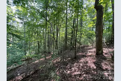 217 Larkhaven Drive #53-11, Nebo, NC 28761 - Photo 6